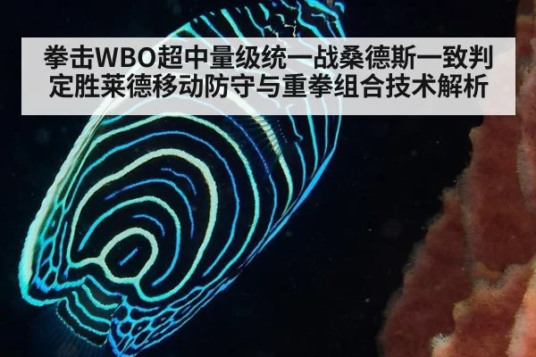 拳击WBO超中量级统一战桑德斯一致判定胜莱德移动防守与重拳组合技术解析