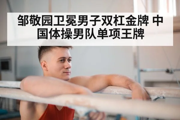 male gymnast parallel bars