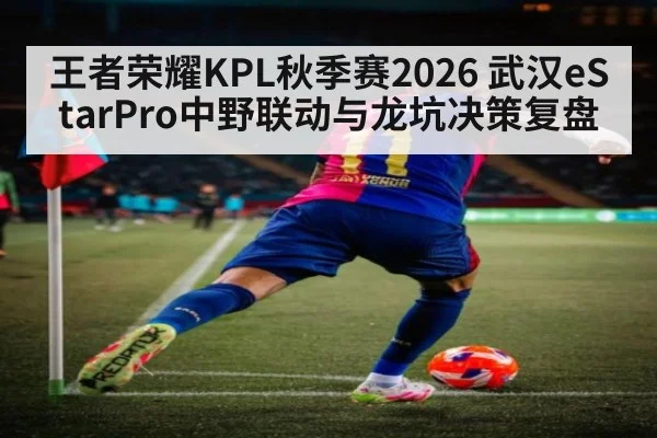 王者荣耀KPL秋季赛2026 武汉eStarPro中野联动与龙坑决策复盘